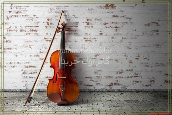 Buy violin 3 - راهنمای خرید ویولن برای افراد مبتدی تا حرفه ای+(معرفی 20 مدل)
