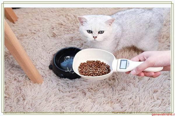 Cat food - راهنمای خرید غذای گربه خشک و کنسرو شده+(معرفی 30+مدل پرفروش)