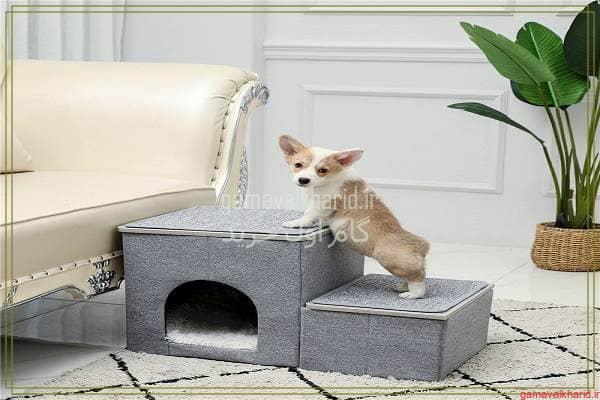 Dog and cat box 3 - راهنمای خرید باکس ارزان برای سگ و گربه+(معرفی29 مدل پرفروش)