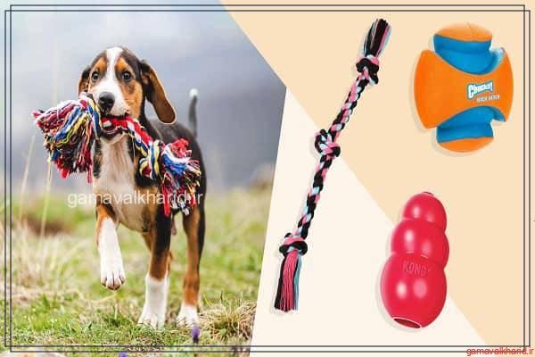 Dog toys 2 - معرفی 30 مدل از بهترین اسباب بازی سگ در بازار