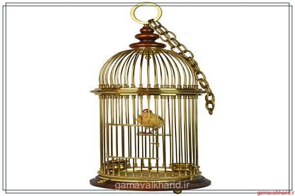 bird cage 1 - راهنمای خرید بهترین قفس پرنده موجود در بازار+(معرفی20 مدل)