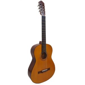 2a8f8d901b9f6a96fa1184c4ae0855c4 300x300 - راهنمای خرید گیتار کلاسیک برای افراد مبتدی تا حرفه ای+(معرفی 29 مدل)