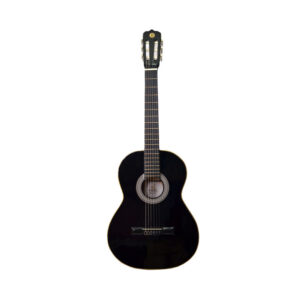 ea66d0b15fa8cbba093a8a1e786a9e60 300x300 - راهنمای خرید گیتار کلاسیک برای افراد مبتدی تا حرفه ای+(معرفی 29 مدل)